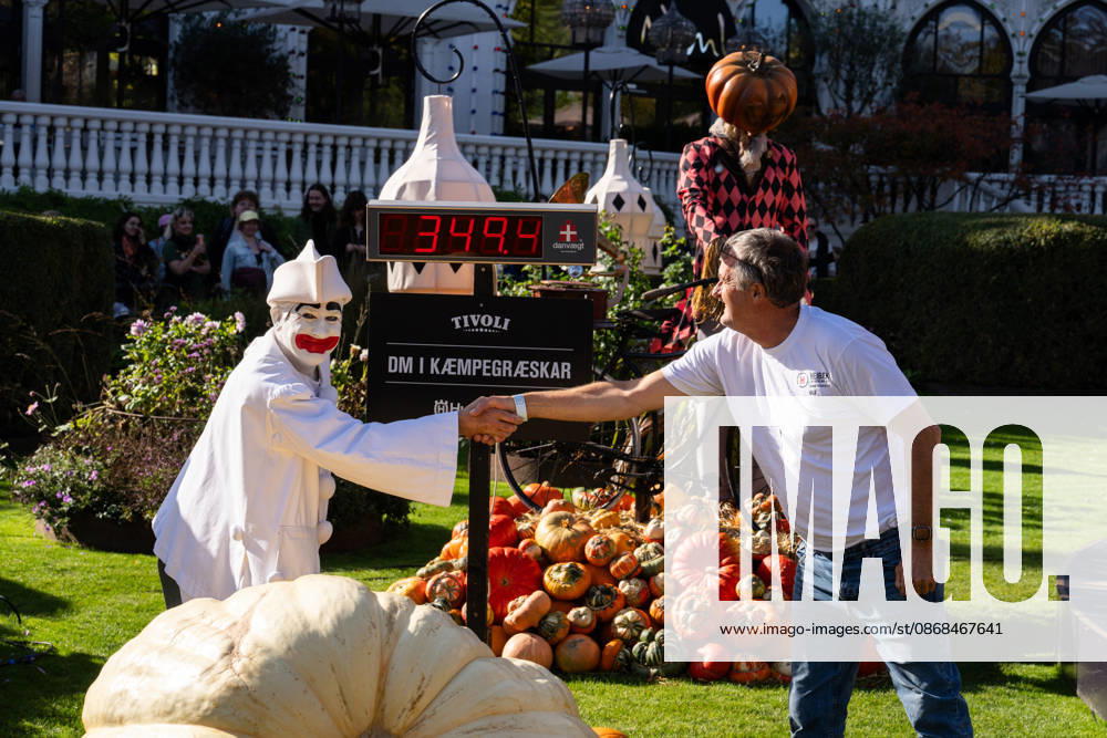 Danish Giant Pumpkin Championship Results Announced: Ole Christensen from Skanderborg with his pumpkin weighing 349.4 kg at the Danish Giant Pumpkin Championship in Tivoli, Copenhagen, on Saturday, October 3, 2026. Photo by Emil Nicolai Helms, Scanpix 2026, Copenhagen, Denmark
