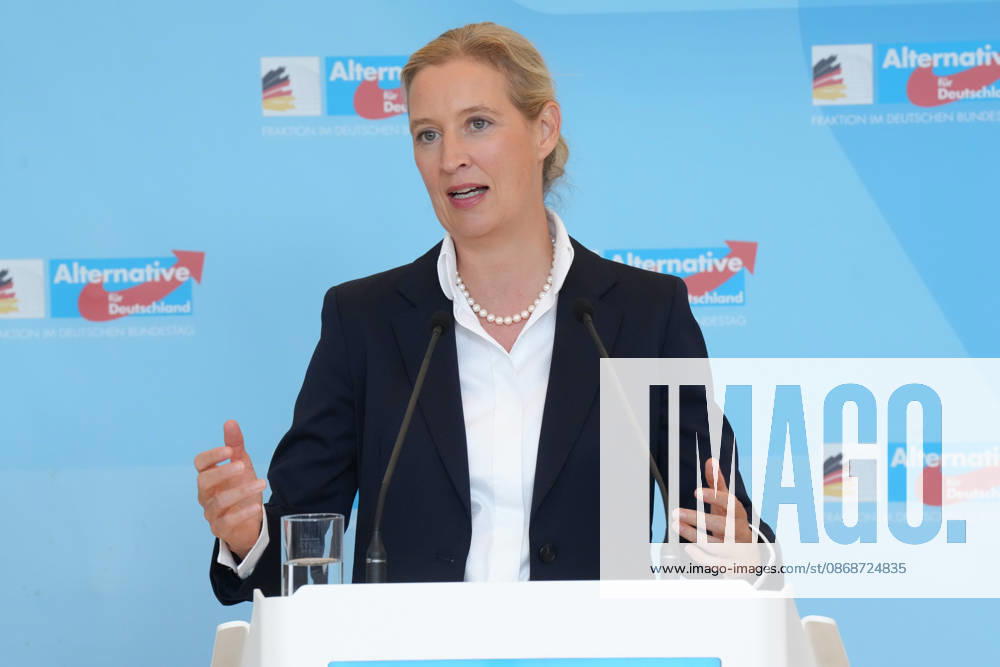 Press conference by the AfD chairwoman ahead of the parliamentary group meeting: Alice Weidel of the AfD is pictured gesturing during a press statement ahead of the AfD parliamentary group meeting in the German Bundestag, Berlin, October 6, 2026, Berlin, Berlin, Germany