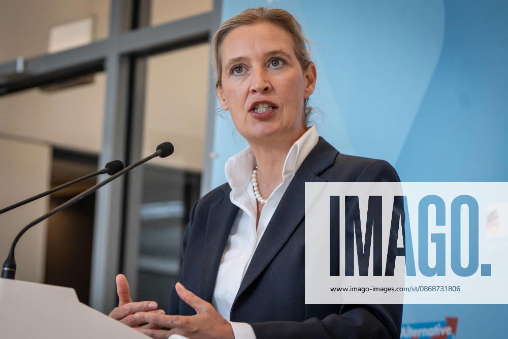 Alice Weidel, AfD Party and Parliamentary Group Chair Press statement by the two party chairs and parliamentary group chairs of the AfD before the start of the parliamentary group meeting in the German Bundestag, Berlin, Berlin, Germany, Bundestag