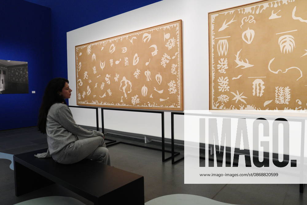 IPA89394408 - Milan, October 7, 2026, Preview of the exhibition Matisse: The World in a Room 2 at Mudec, Museum of Cultures