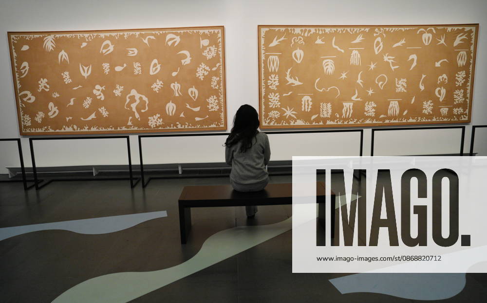 IPA89394446 - Milan, October 7, 2026, Preview of the exhibition Matisse: The World in a Room 2 at Mudec, Museum of Cultures