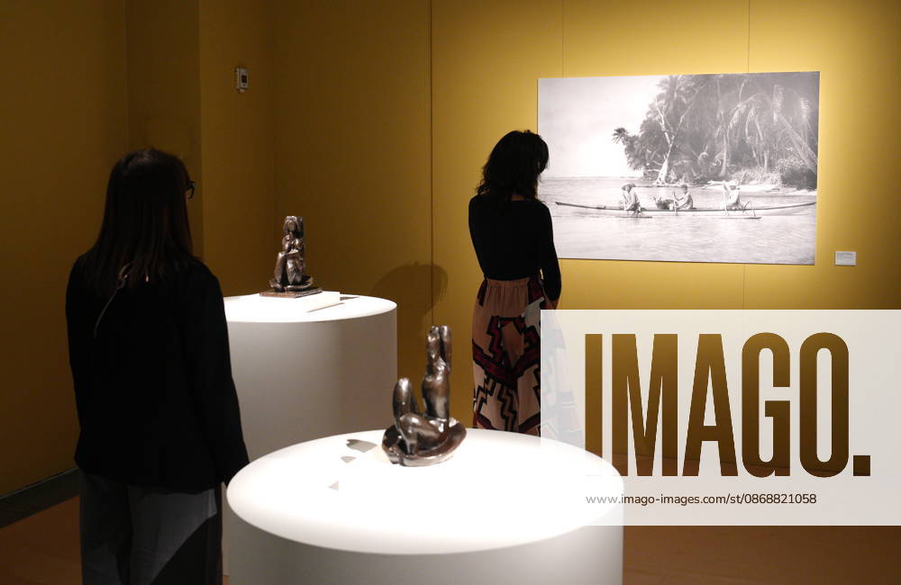 IPA89394514 - Milan, October 7, 2026, Preview of the exhibition Matisse: The World in a Room 2 at Mudec, Museum of Cultures