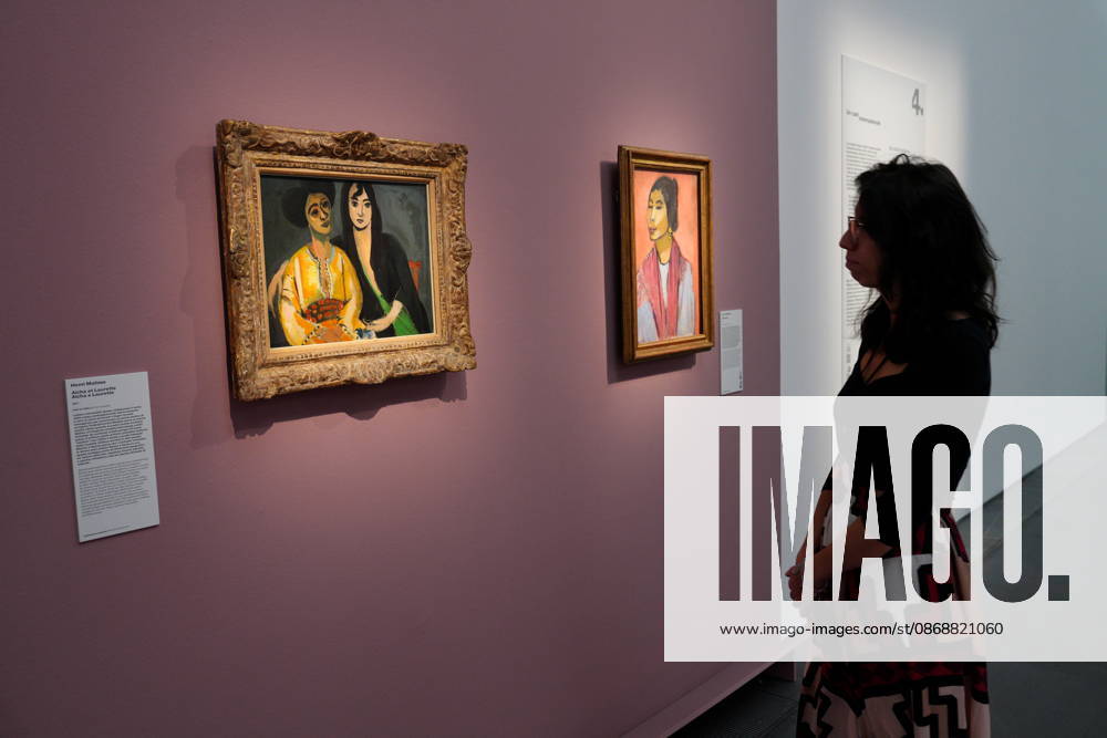 IPA89394515 - Milan, October 7, 2026, Preview of the exhibition Matisse: The World in a Room 2 at Mudec, Museum of Cultures