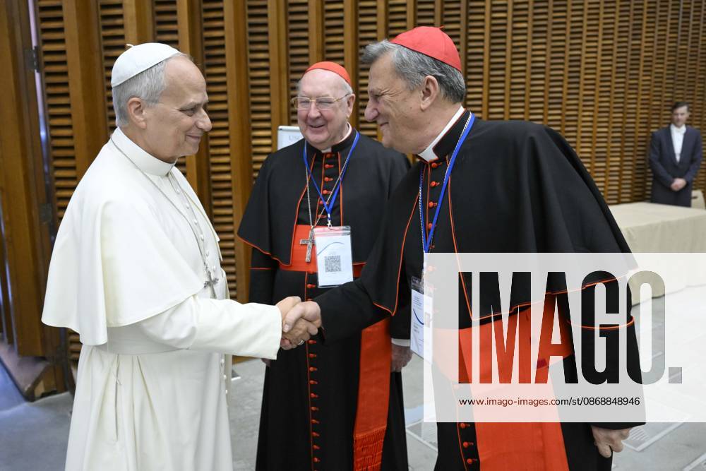 ITALY - POPE - VATICAN-2026 10 7 Italy, Rome, Vatican, 2026 10 7 Pope Leo XIV during the meeting with the presidents of the episcopal conferences from all over the world in Vatican . - NO BOOKS
