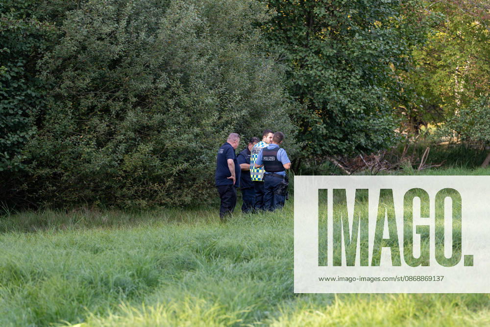 250-kg World War II Bomb Found in City Forest; Demolition Necessary on the Same Day On Wednesday, October 7, 2