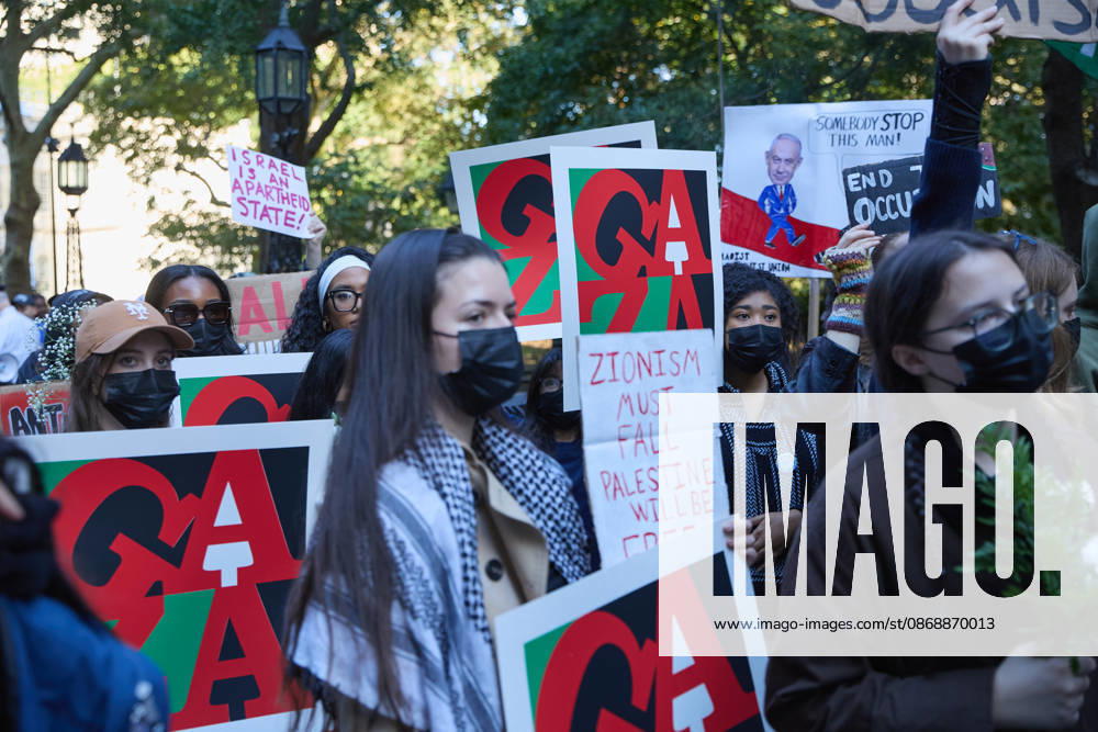 Protesters hold signs and flags during a pro-Palestinian demonstration at City Hall Park in New York City, New York. New York USA - ZUMAs237 20261007_aap_s237_036