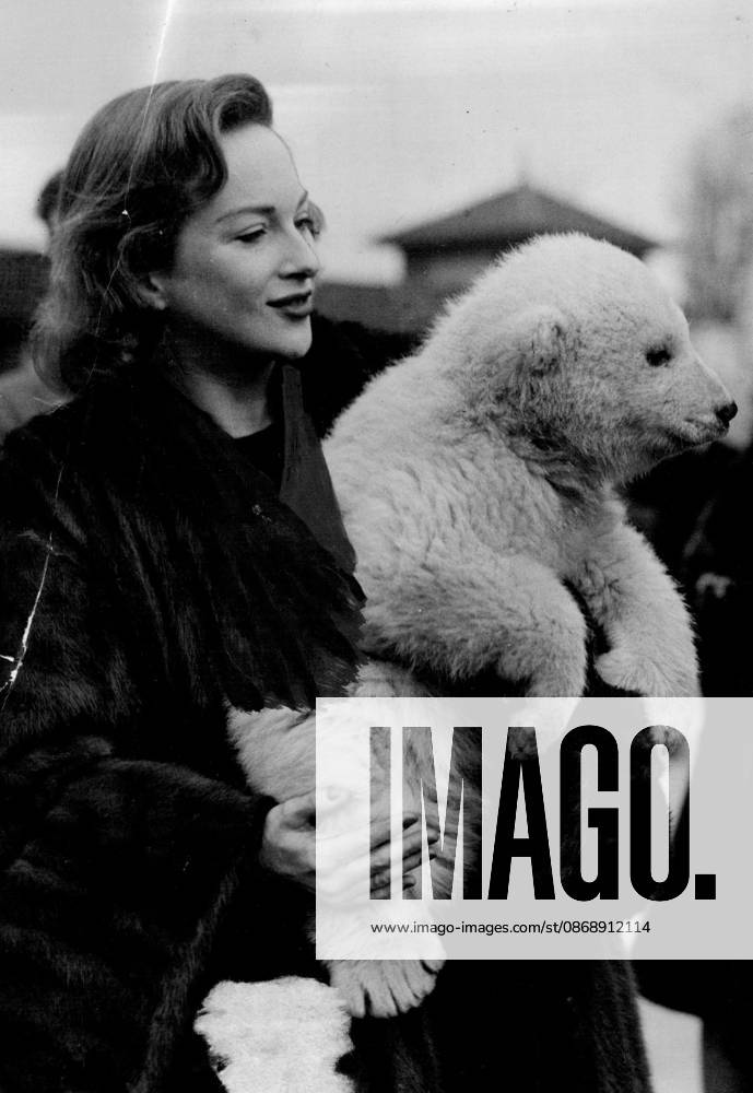 A Lucky Bear -- Friends with a film star - London Zoo s most popular baby, Brumaa, the polar bear, has a special visitor, film and radio star Joan Greenwood, who found the Teddy a cuddly handfull but they soon made friends. March 03, 1950. (Photo by Paul Popper Ltd.).
