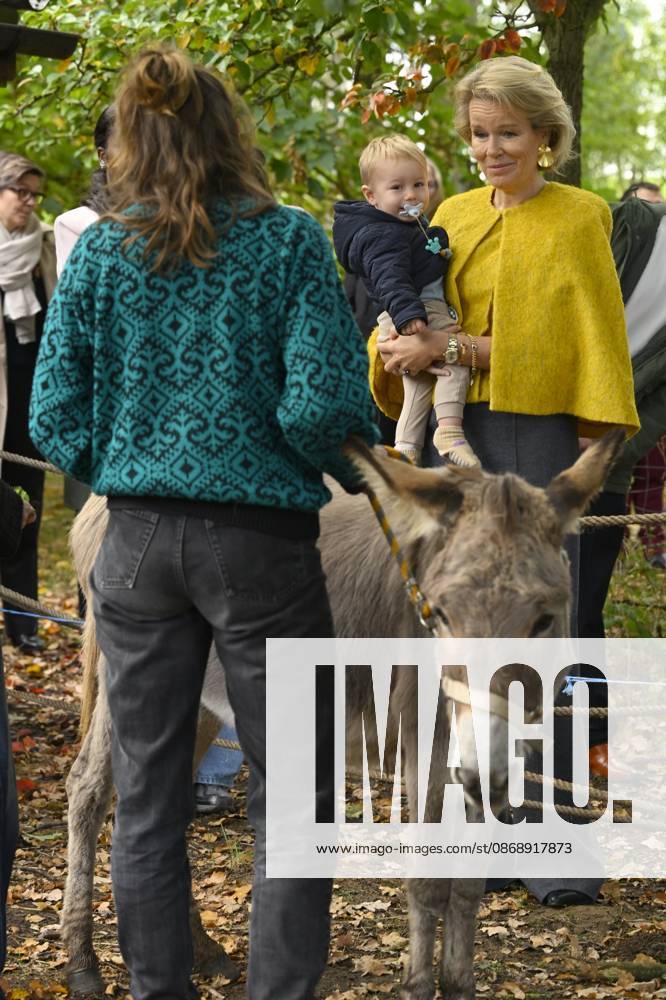 Queen Mathilde Visits Winners Of the 2026 Queen Mathilde Prize GREZ-DOICEAU, BELGIUM - OCTOBER 08: Queen Mathilde of Belgium pictured visiting two organizations that won the 2026 Queen Mathilde Prize : Vzw Alba, on October 08, 2026 in Grez-Doiceau, Belgium, 08 10 2026 Grez-Doiceau Belgium