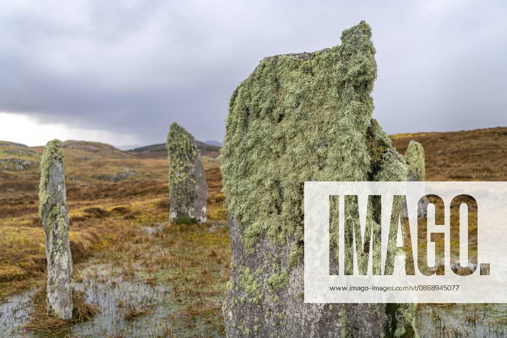 Moos und Flechten wachsen auf einem alten stehenden Stein (mit verschwommenem Hintergrund) auf der Insel Lewis in den äußeren Hebriden, Schottland, Großbritannien Moss and lichen growing on an old standing stone (with blurred background) on Lewis Island in the outer Hebrides, Scotland, United Kingdom