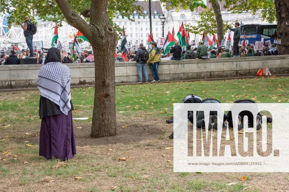 The National March for Palestine took place to mark the third anniversary of the start of the war in Gaza. Around ten thousand gathered on The Thames embankment and marched to Parliament Squre. They faced an Israeli counter demonstration of a handfull of protesters. Some arrests were reported by police. London England - ZUMAr169 20261010_zip_r169_061