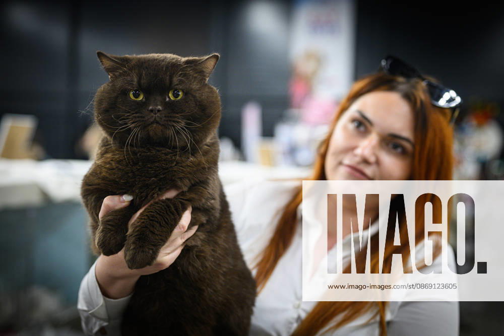 2026 WCF Jubilee Cat Show - Day 1 Owner holds her cat during the day one of 2026 WCF Jubilee Cat Show in Zagreb, Croatia on October 10, 2026. DavorxPuklavec PIXSELL