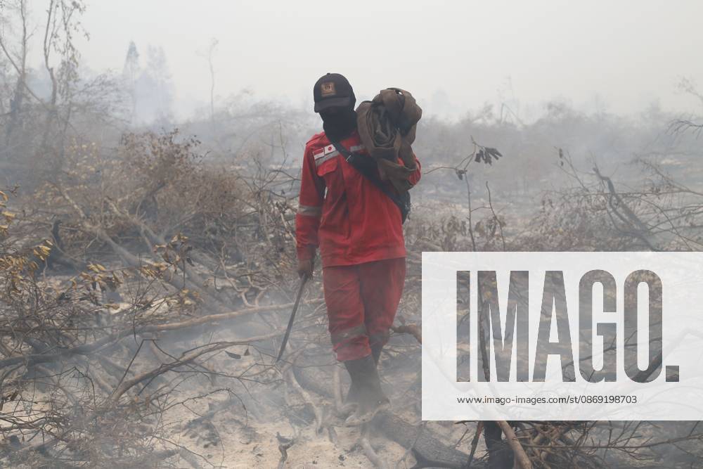 Firefighters battle forest fire in Central Kalimantan PALANGKA RAYA, CENTRAL KALIMANTAN, INDONESIA, OCTOBER 11, 2026: Members of Indonesia s Manggala Agni forest fire brigade work to extinguish a forest fire in the Sebangau area of Palangka Raya, Central Kalimantan. The firefighting team has been responding to fires affecting forests and community land in the region during the dry season. kalimantan Indonesia