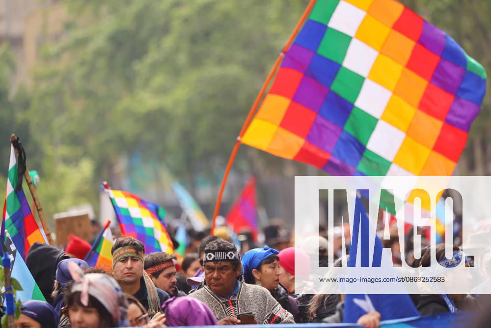 The assembly of indigenous organizations calls for a march: Indigenous Peoples in Resistance for Autonomy and Demilitarization. Jonnathan Oyarzun Aton Chile, Santiago, Chile Aton 1198904