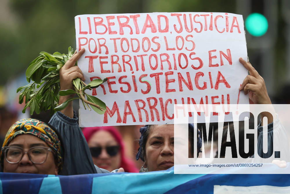 The assembly of indigenous organizations calls for a march: Indigenous Peoples in Resistance for Autonomy and Demilitarization. Dragomir Yankovic, Aton Chile, Santiago, Chile. Aton 1199021