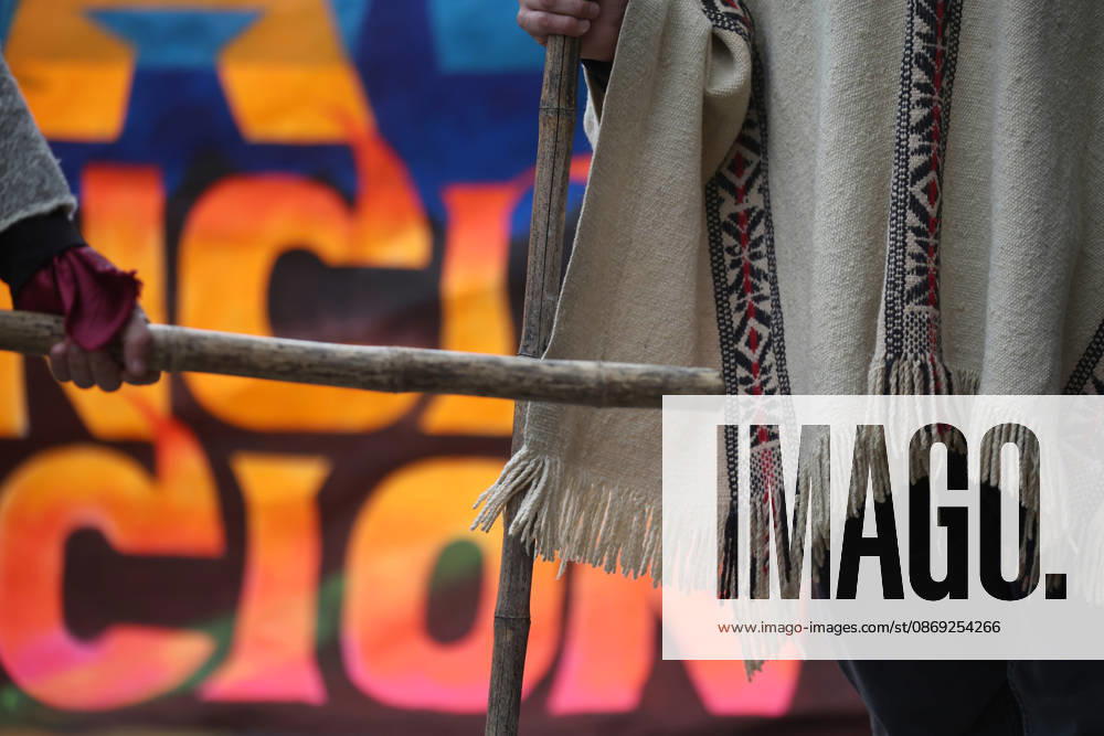 The assembly of indigenous organizations calls for a march: Indigenous Peoples in Resistance for Autonomy and Demilitarization. Dragomir Yankovic, Aton Chile, Santiago, Chile. Aton 1199030