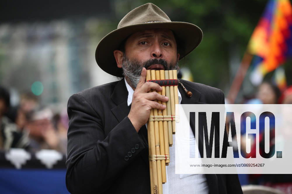The assembly of indigenous organizations calls for a march: Indigenous Peoples in Resistance for Autonomy and Demilitarization. Dragomir Yankovic Aton Chile, Santiago, Chile Aton 1199031