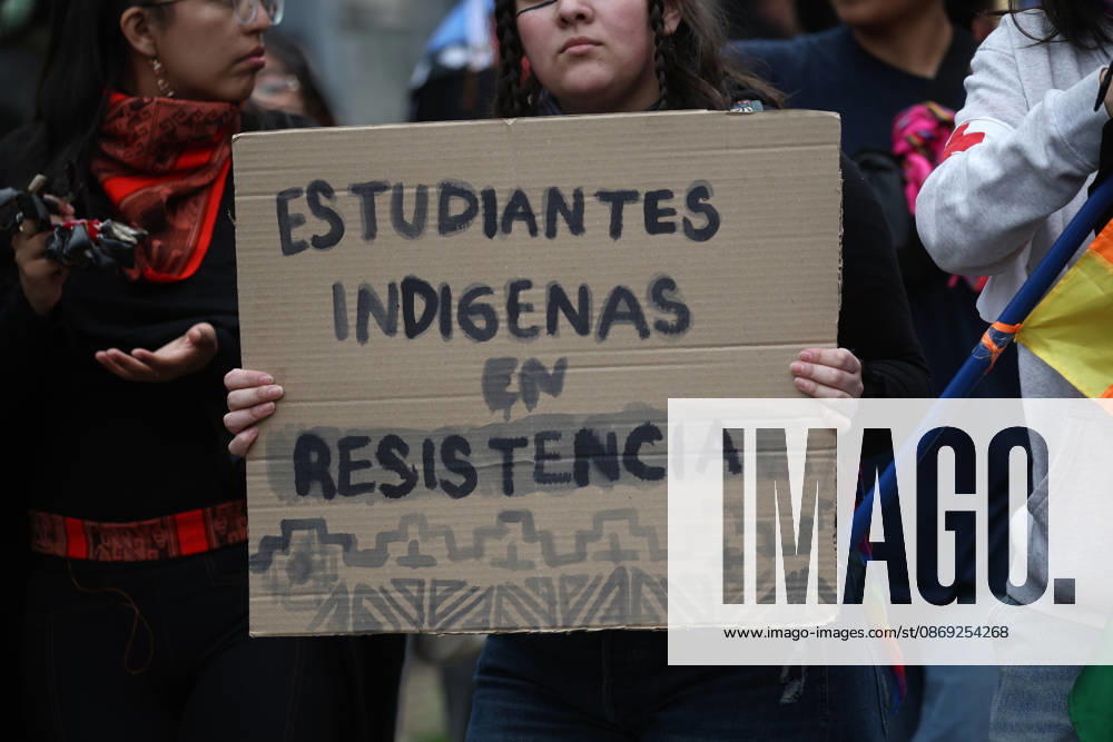 The assembly of indigenous organizations calls for a march: Indigenous Peoples in Resistance for Autonomy and Demilitarization. Dragomir Yankovic, Aton Chile, Santiago, Chile. Aton 1199032