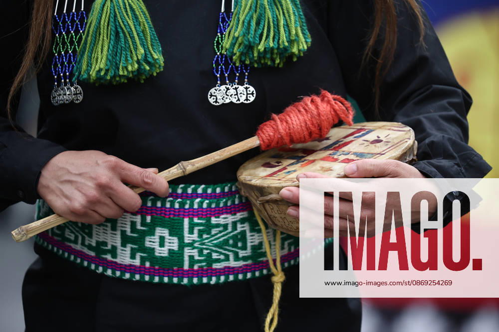 The assembly of indigenous organizations calls for a march: Indigenous Peoples in Resistance for Autonomy and Demilitarization. Dragomir Yankovic Aton Chile, Santiago, Chile Aton 1199033