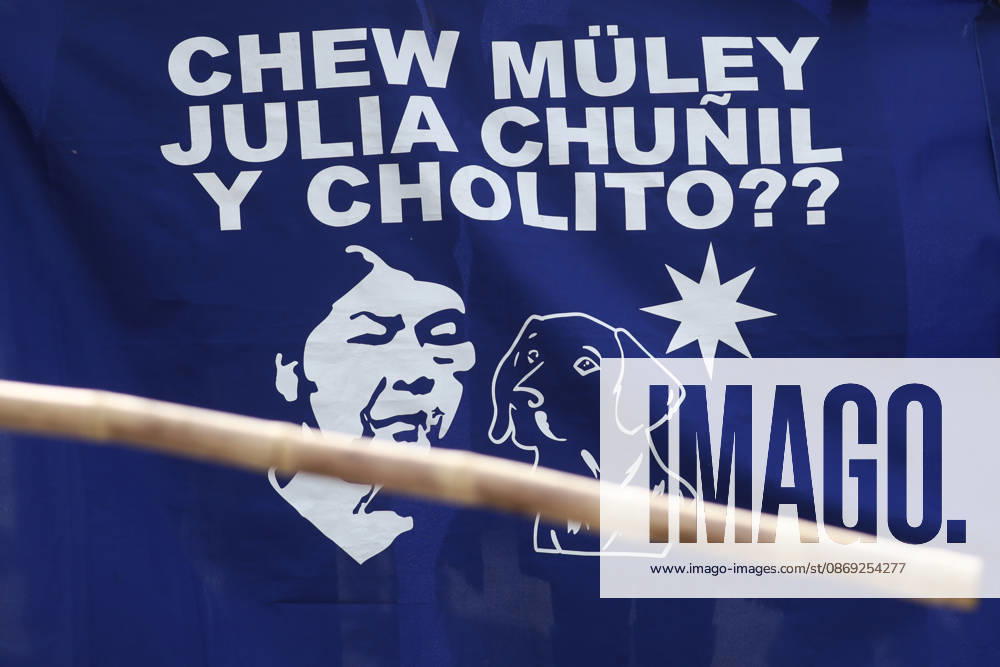 The assembly of indigenous organizations calls for a march: Indigenous Peoples in Resistance for Autonomy and Demilitarization Dragomir Yankovic Aton Chile, Santiago, Chile Aton 1199038