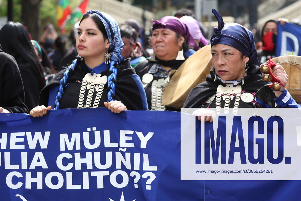 The assembly of indigenous organizations calls for a march: Indigenous Peoples in Resistance for Autonomy and Demilitarization. Dragomir Yankovic, Aton Chile, Santiago, Chile. Aton 1199042