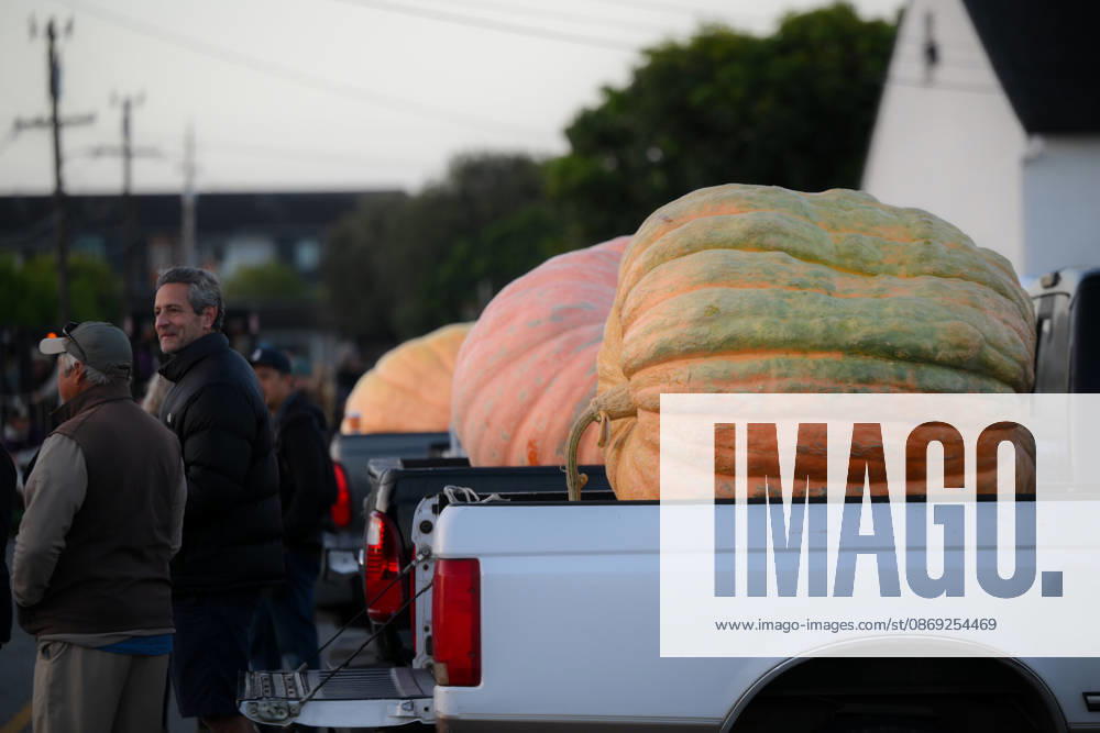 53rd Annual Safeway World Championship Pumpkin Weigh-Off in Half Moon Bay HALF MOON BAY, CA - OCTOBER 12: 53rd annual Safeway World Championship Pumpkin Weigh-Off is held at the I.D.E.S. Grounds in Half Moon Bay, California, United States on October 12, 2026. Tayfun Coskun Anadolu California United States. Editorial use only. Please get in touch for any other usage.