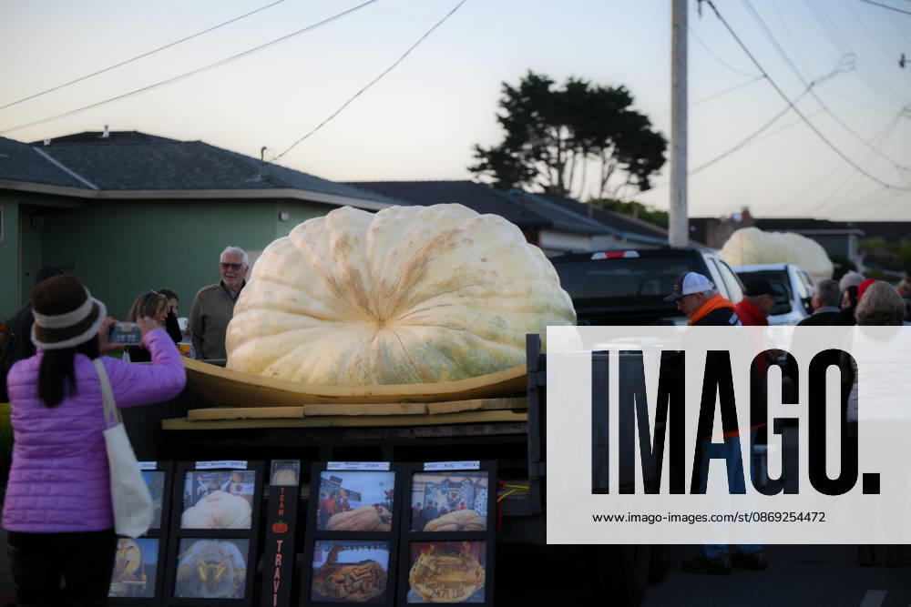 53rd Annual Safeway World Championship Pumpkin Weigh-Off in Half Moon Bay HALF MOON BAY, CA - OCTOBER 12: 53rd annual Safeway World Championship Pumpkin Weigh-Off is held at the I.D.E.S. Grounds in Half Moon Bay, California, United States on October 12, 2026. Tayfun Coskun Anadolu California United States. Editorial use only. Please get in touch for any other usage.