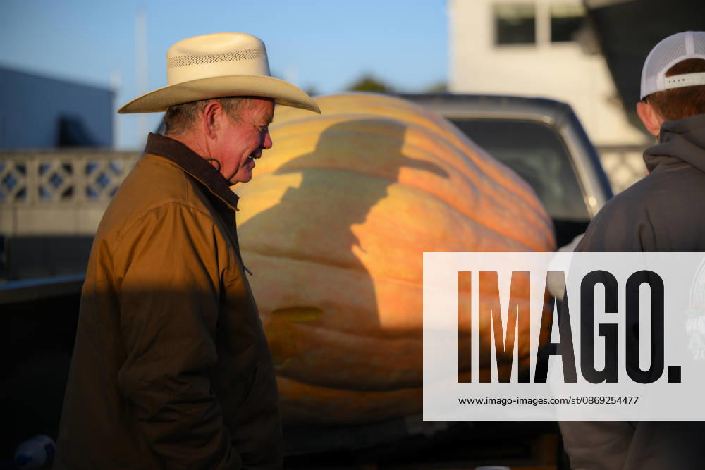53rd Annual Safeway World Championship Pumpkin Weigh-Off in Half Moon Bay HALF MOON BAY, CA - OCTOBER 12: 53rd annual Safeway World Championship Pumpkin Weigh-Off is held at the I.D.E.S. Grounds in Half Moon Bay, California, United States on October 12, 2026. Tayfun Coskun Anadolu California United States. Editorial use only. Please get in touch for any other usage.