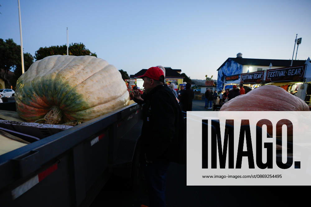 53rd Annual Safeway World Championship Pumpkin Weigh-Off in Half Moon Bay HALF MOON BAY, CA - OCTOBER 12: 53rd annual Safeway World Championship Pumpkin Weigh-Off is held at the I.D.E.S. Grounds in Half Moon Bay, California, United States on October 12, 2026. Tayfun Coskun Anadolu California United States. Editorial use only. Please get in touch for any other usage.