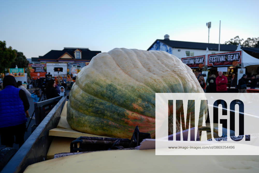 53rd Annual Safeway World Championship Pumpkin Weigh-Off in Half Moon Bay HALF MOON BAY, CA - OCTOBER 12: 53rd annual Safeway World Championship Pumpkin Weigh-Off is held at the I.D.E.S. Grounds in Half Moon Bay, California, United States on October 12, 2026. Tayfun Coskun Anadolu California United States. Editorial use only. Please get in touch for any other usage.
