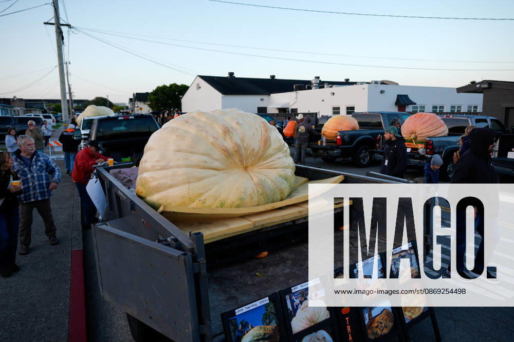 53rd Annual Safeway World Championship Pumpkin Weigh-Off in Half Moon Bay HALF MOON BAY, CA - OCTOBER 12: 53rd annual Safeway World Championship Pumpkin Weigh-Off is held at the I.D.E.S. Grounds in Half Moon Bay, California, United States on October 12, 2026. Tayfun Coskun Anadolu California United States. Editorial use only. Please get in touch for any other usage.