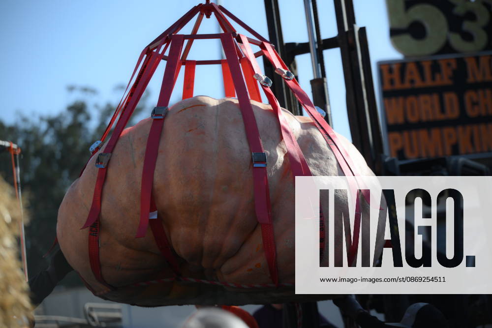 53rd Annual Safeway World Championship Pumpkin Weigh-Off in Half Moon Bay HALF MOON BAY, CA - OCTOBER 12: 53rd annual Safeway World Championship Pumpkin Weigh-Off is held at the I.D.E.S. Grounds in Half Moon Bay, California, United States on October 12, 2026. Tayfun Coskun Anadolu California United States. Editorial use only. Please get in touch for any other usage.