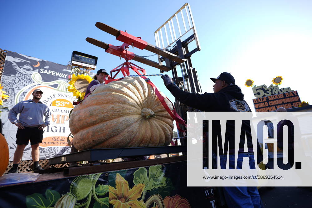 53rd Annual Safeway World Championship Pumpkin Weigh-Off in Half Moon Bay HALF MOON BAY, CA - OCTOBER 12: 53rd annual Safeway World Championship Pumpkin Weigh-Off is held at the I.D.E.S. Grounds in Half Moon Bay, California, United States on October 12, 2026. Tayfun Coskun Anadolu California United States. Editorial use only. Please get in touch for any other usage.