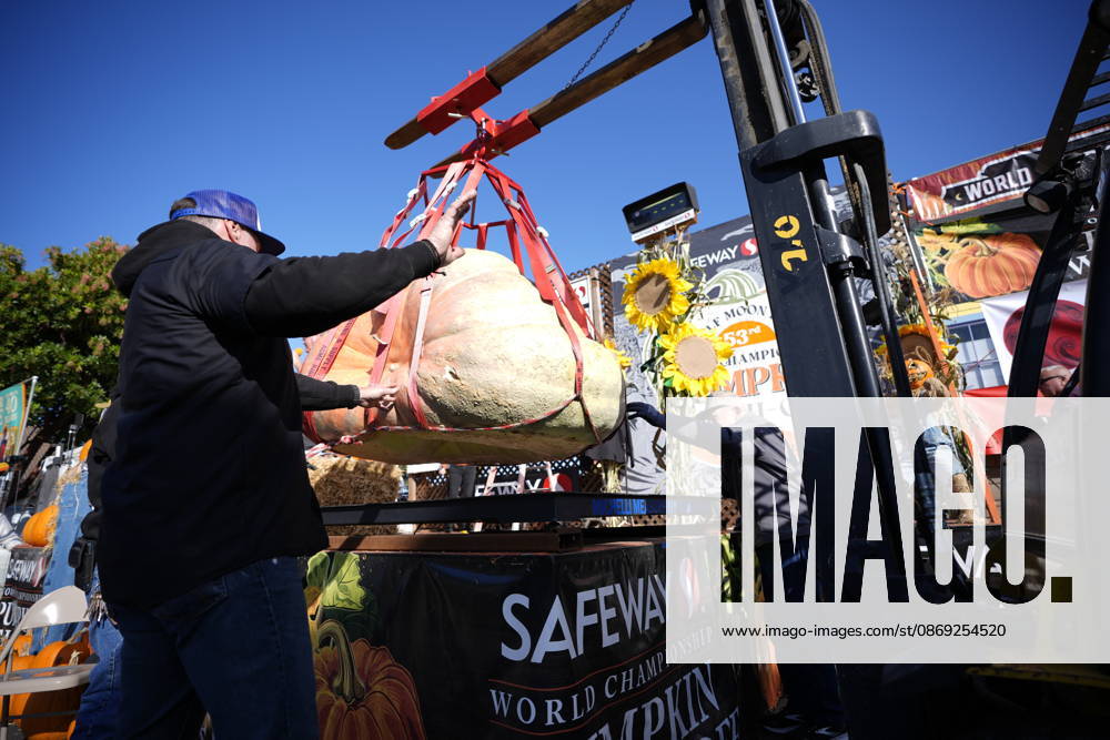 53rd Annual Safeway World Championship Pumpkin Weigh-Off in Half Moon Bay HALF MOON BAY, CA - OCTOBER 12: 53rd annual Safeway World Championship Pumpkin Weigh-Off is held at the I.D.E.S. Grounds in Half Moon Bay, California, United States on October 12, 2026. Tayfun Coskun Anadolu California United States. Editorial use only. Please get in touch for any other usage.