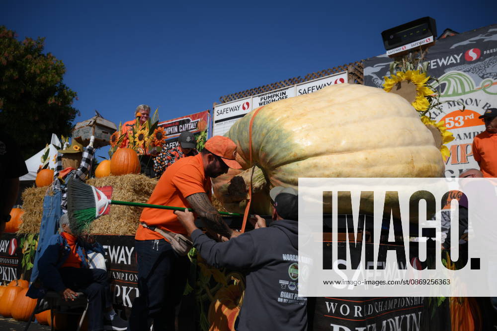 53rd Annual Safeway World Championship Pumpkin Weigh-Off in Half Moon Bay HALF MOON BAY, CA - OCTOBER 12: Travis Gienger from Anoka, Minnesota won with his giant pumpkin weighted 2,389 pound during the 53rd annual Safeway World Championship Pumpkin Weigh-Off is held at the I.D.E.S. Grounds in Half Moon Bay, California, United States on October 12, 2026. Tayfun Coskun Anadolu California United States. Editorial use only. Please get in touch for any other usage.