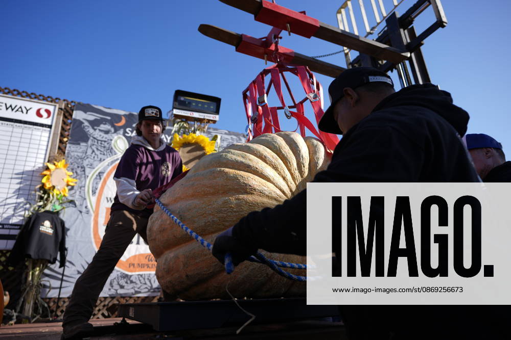 53rd Annual Safeway World Championship Pumpkin Weigh-Off in Half Moon Bay HALF MOON BAY, CA - OCTOBER 12: 53rd annual Safeway World Championship Pumpkin Weigh-Off is held at the I.D.E.S. Grounds in Half Moon Bay, California, United States on October 12, 2026. Tayfun Coskun Anadolu California United States. Editorial use only. Please get in touch for any other usage.