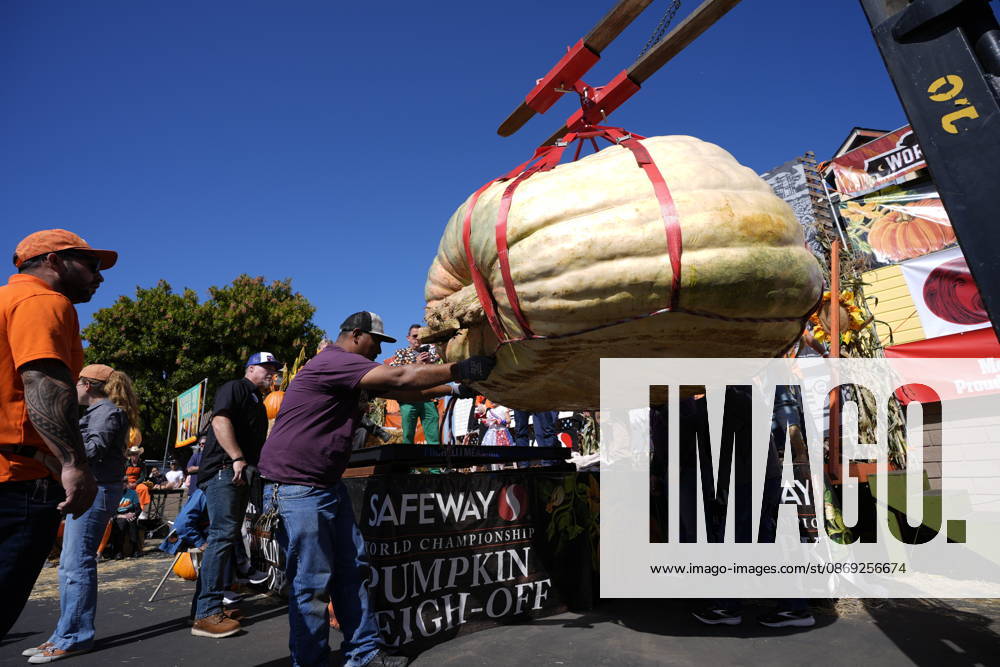 53rd Annual Safeway World Championship Pumpkin Weigh-Off in Half Moon Bay HALF MOON BAY, CA - OCTOBER 12: 53rd annual Safeway World Championship Pumpkin Weigh-Off is held at the I.D.E.S. Grounds in Half Moon Bay, California, United States on October 12, 2026. Tayfun Coskun Anadolu California United States. Editorial use only. Please get in touch for any other usage.