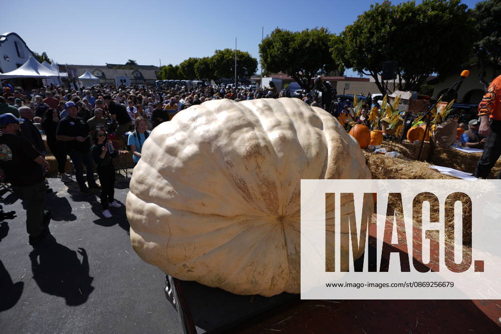 53rd Annual Safeway World Championship Pumpkin Weigh-Off in Half Moon Bay HALF MOON BAY, CA - OCTOBER 12: Travis Gienger from Anoka, Minnesota won with his giant pumpkin weighted 2,389 pound during the 53rd annual Safeway World Championship Pumpkin Weigh-Off is held at the I.D.E.S. Grounds in Half Moon Bay, California, United States on October 12, 2026. Tayfun Coskun Anadolu California United States. Editorial use only. Please get in touch for any other usage.