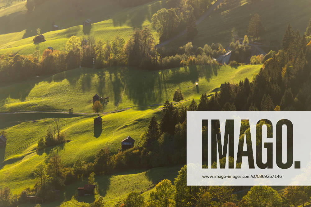 Autumn Evening in the Allgäu: The evening sun shines on the autumn landscape, Bad Hindelang, Bavaria, Germany
