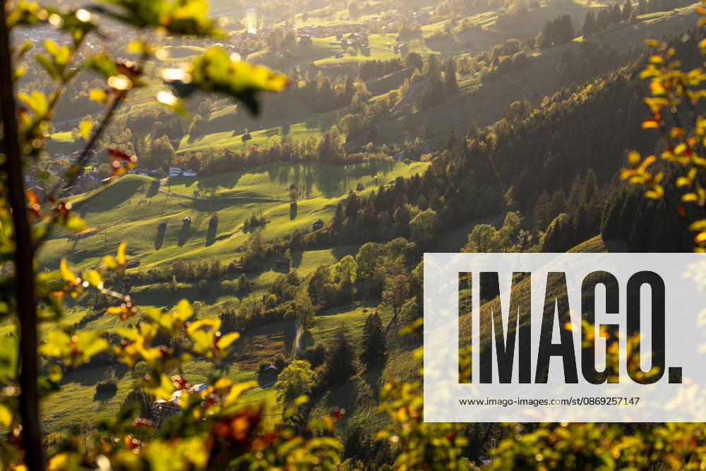 An Autumn Evening in the Allgäu: The evening sun shines on the autumn landscape near Bad Hindelang, Bad Hindelang, Bavaria, Germany