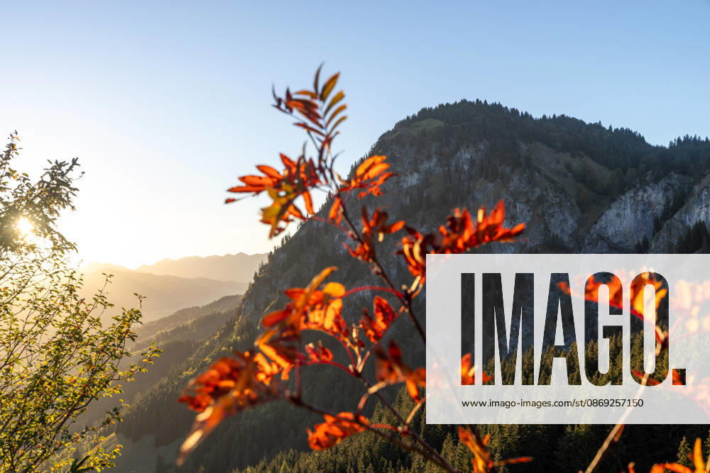 Autumn evening in the Allgäu: A view of the setting sun in the Bavarian Alps near Oberjoch, Bad Hindelang, Bavaria, Germany
