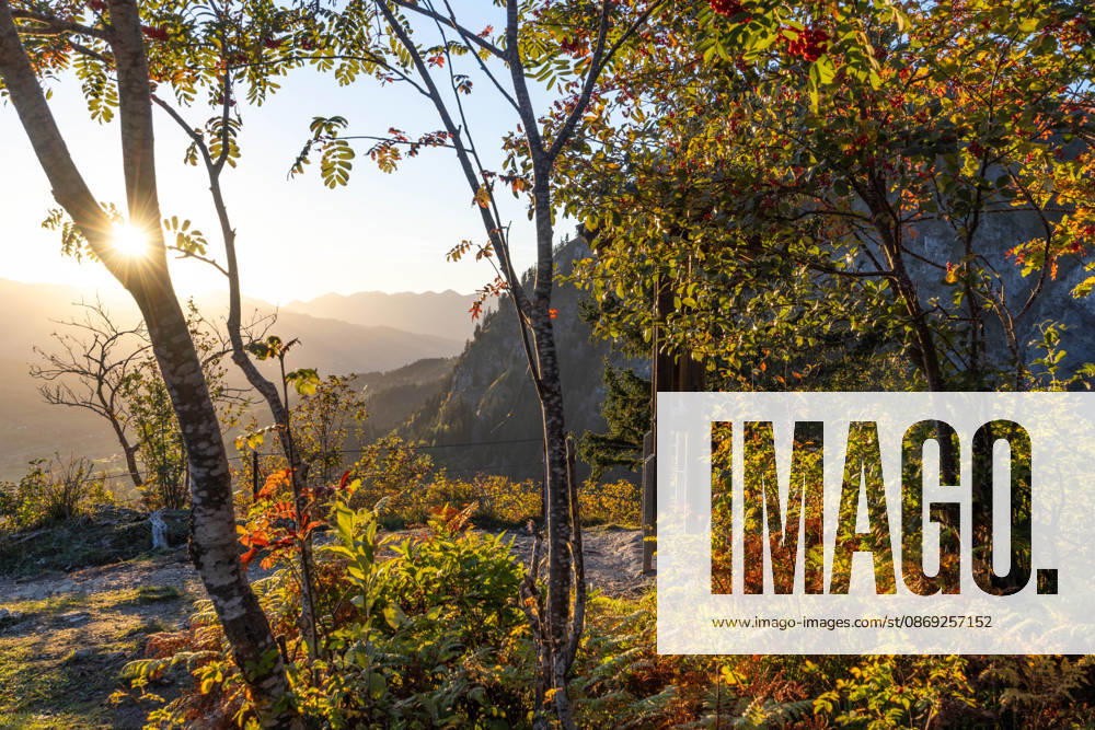 Autumn evening in the Allgäu: A view of the setting sun in the Bavarian Alps near Oberjoch, Bad Hindelang, Bavaria, Germany