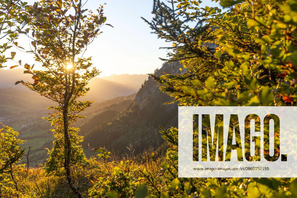 Autumn evening in the Allgäu: A view of the setting sun in the Bavarian Alps near Oberjoch, Bad Hindelang, Bavaria, Germany