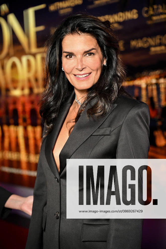 Angie Harmon during the opening night of MIPCOM 2026 at the Majestic Hotel in Cannes on October 12, 2026. MIPCOM is the International Market for Audiovisual Content and Co-production. Every October, it brings together TV and media professionals in Cannes for four days of business, networking, and collaboration. Bruno Bebert, Bestimage. MIPCOM 2025 at the Palais des Festivals in Cannes, October 12, 2026, Cannes, France