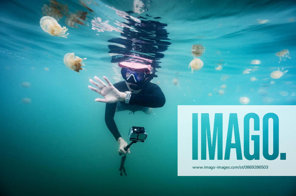 Snorkeler filming a swarm of jellyfish with an action camera Sorong, Southwest Papua, Indonesia CR_THHE261007E-2127053-01 ,model released, Symbolfoto ,property released