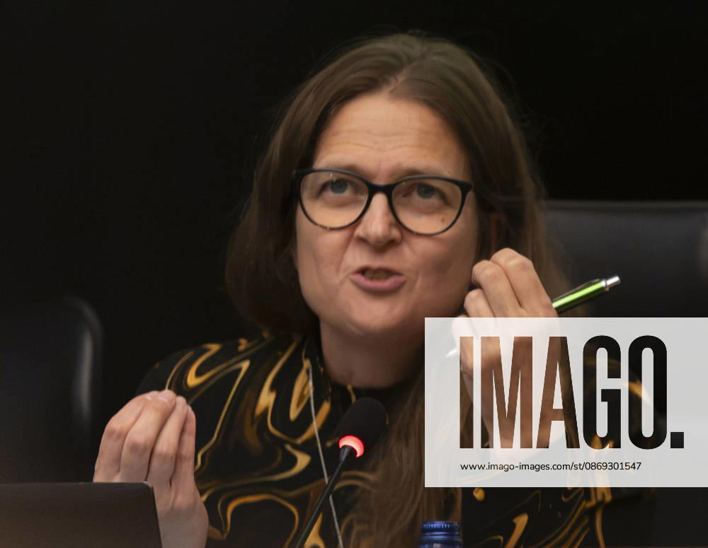 Geneva Switzerland, 10 13 2026: SUSANN SIMOLIN is the director of the o¦land Peace Institute (o¦lands Fredsinstitut), a position to which she was appointed in December 2023. during the Autonomy, identity and peace of o¦land Islands and which concerns Autonomy, identity, and peace: what do 105 years of the o¦land Islands (Finland)â€where Swedish is spokenâ€teach us about conflict resolution today and which was held at United Nations of Geneva in Geneva. Geneva Switzerland - ZUMAd206 20261013_zip_d206_019