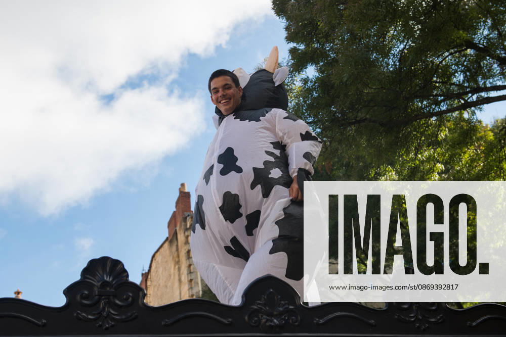 High School Stdent Mobilisation - Bordeaux A protester wearing a cow costume participates in Act V of the high school student mobilisation in Bordeaux, France on October 13, 2026, as students demonstrate against education reforms. Photo by Fabrice Sapte ABACAPRESS.COM Bordeaux France
