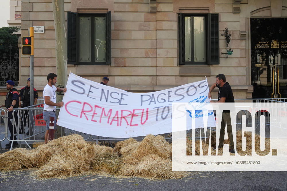 Tractor Rally for Agriculture in Barcelona: Protesters during a rally of tractors from various parts of Catalonia in front of the Government Delegation and statements, on October 14, 2026, in Barcelona, Catalonia, Spain. The demonstration, organized by Unió de Pagesos with the support of Asaja, FCAC, and Revolta Pagesa, denounces the structural crisis in the agricultural sector in Barcelona. October 14, 2026, Spain