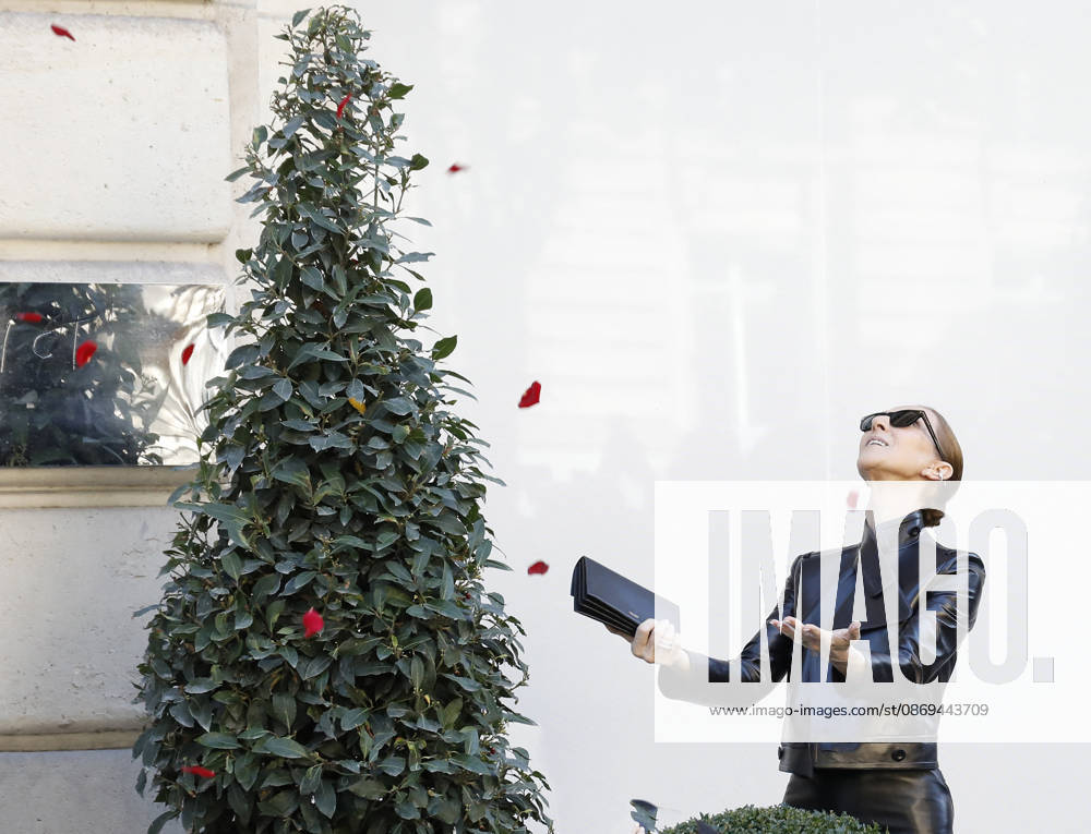 Céline Dion greets her fans as she leaves theRoyal Monceau Hotel in Paris before heading to the La Plénitude Arena at Paris La Défense to continue her concert series on October 14, 2026 Marc Ausset Lacroix Bestimage Céline Dion greets fans as she leaves the Royal Monceau Hotel in Paris before heading to the La Plénitude Arena at Paris La Défense to continue her concert series on October 14, 2026, Paris, France