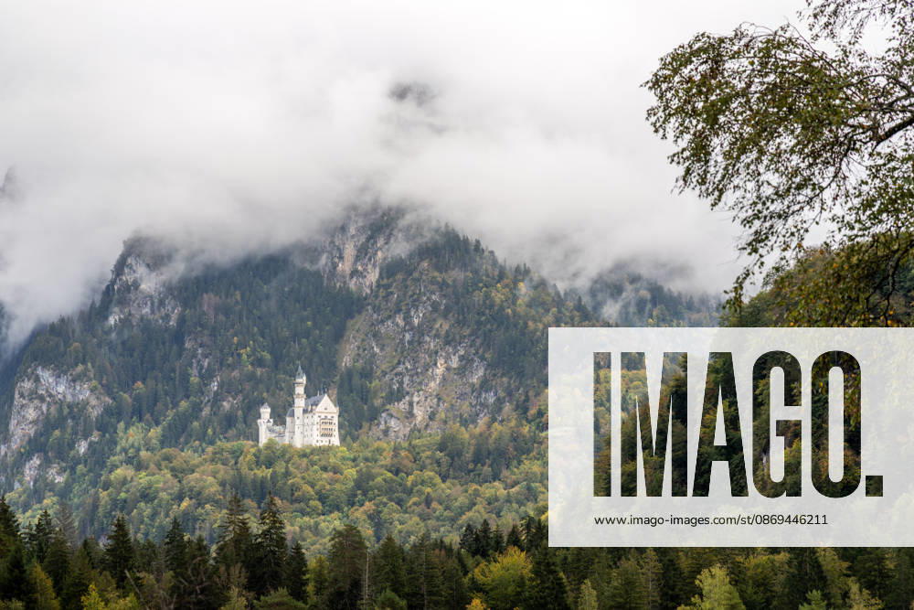 Fall in the Allgäu: A view of the fall landscape with Neuschwanstein Castle, Schwangau, Bavaria, Germany