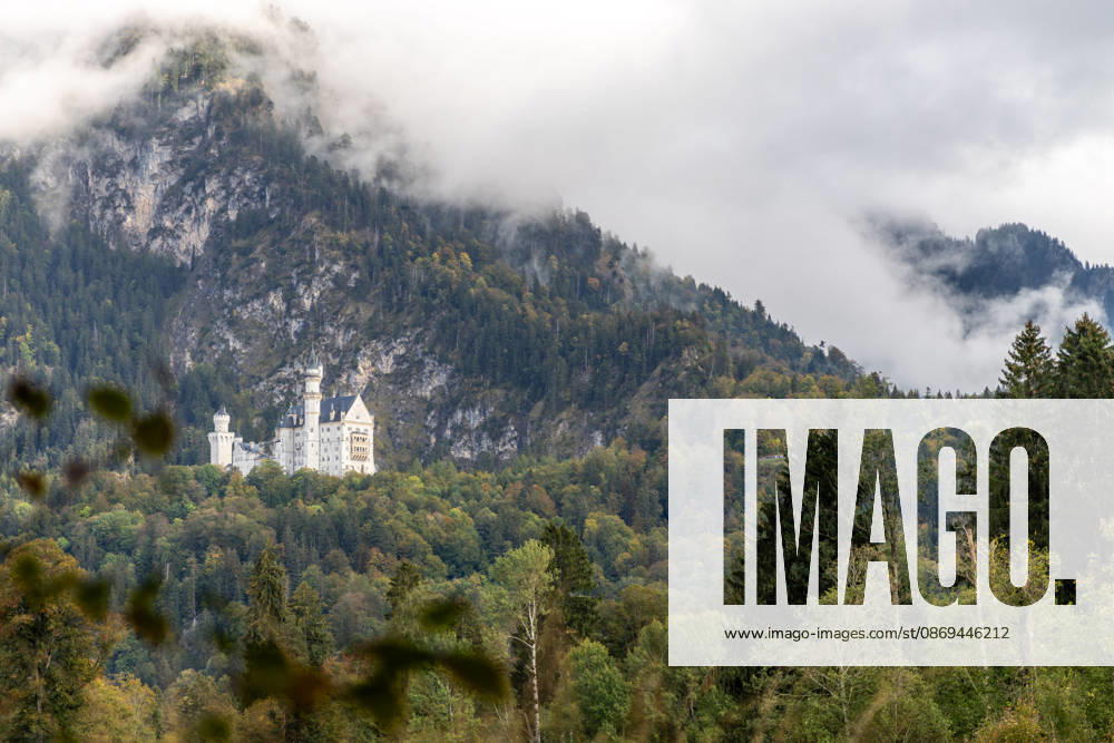 Fall in the Allgäu: A view of the fall landscape with Neuschwanstein Castle, Schwangau, Bavaria, Germany